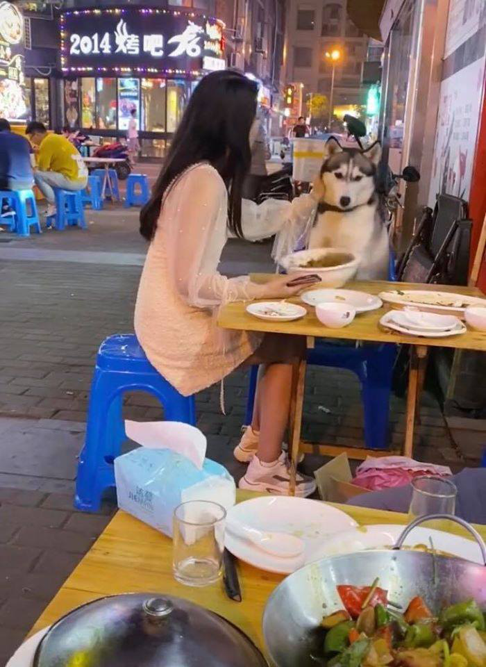 Đùa nghịch với chó lạ, cô gái phớt lờ cảnh báo của người chủ và cái kết ê chề giữa quán - Ảnh 3. Đùa nghịch với chó lạ, cô gái phớt lờ cảnh báo của người chủ và cái kết ê chề giữa quán - Ảnh 3.