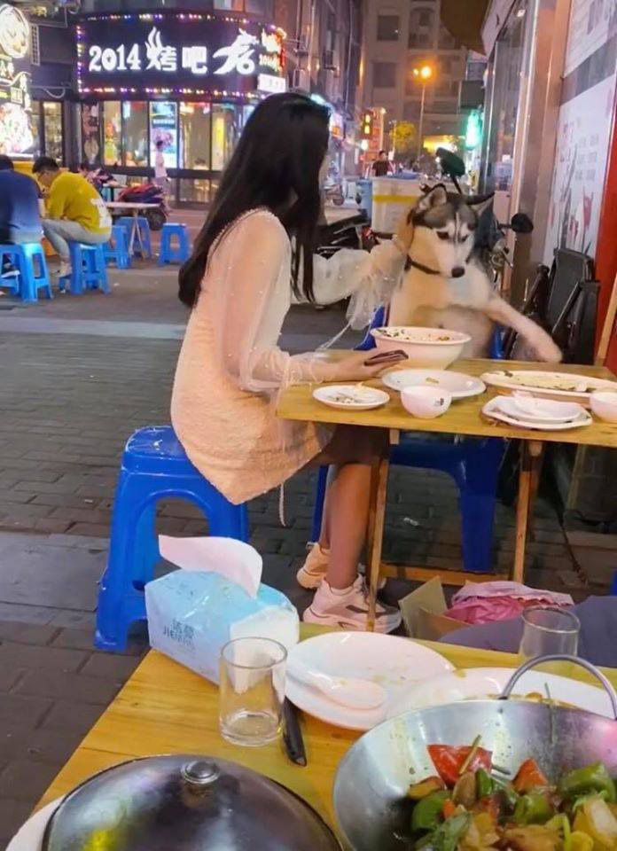 Đùa nghịch với chó lạ, cô gái phớt lờ cảnh báo của người chủ và cái kết ê chề giữa quán - Ảnh 4. Đùa nghịch với chó lạ, cô gái phớt lờ cảnh báo của người chủ và cái kết ê chề giữa quán - Ảnh 4.