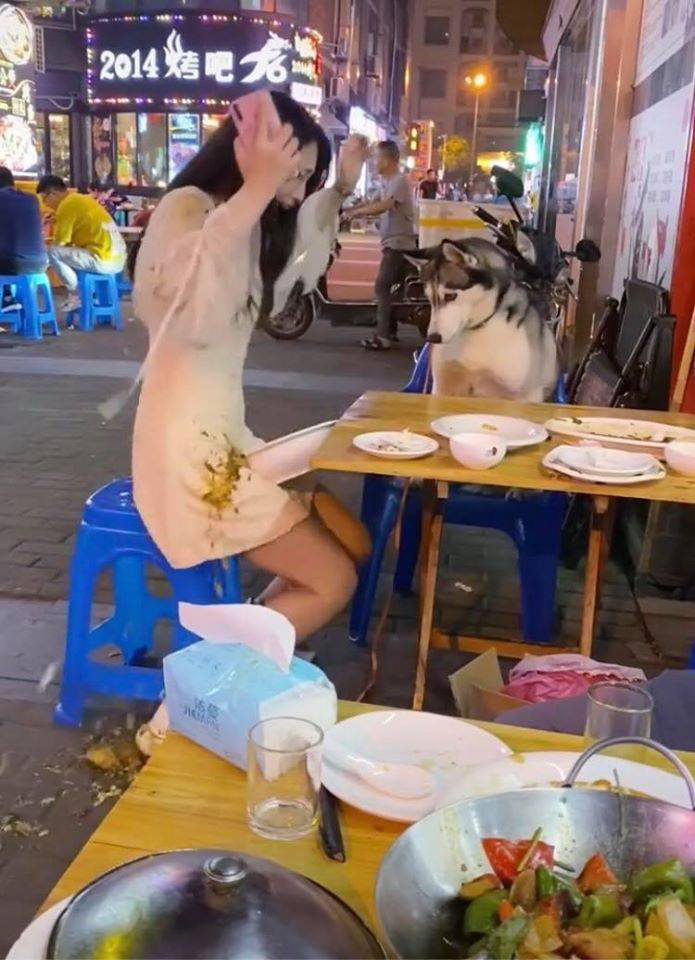 Đùa nghịch với chó lạ, cô gái phớt lờ cảnh báo của người chủ và cái kết ê chề giữa quán - Ảnh 6. Đùa nghịch với chó lạ, cô gái phớt lờ cảnh báo của người chủ và cái kết ê chề giữa quán - Ảnh 6.