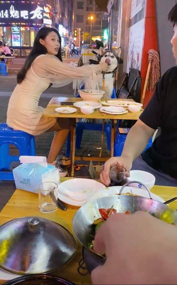 Đùa nghịch với chó lạ, cô gái phớt lờ cảnh báo của người chủ và cái kết ê chề giữa quán - Ảnh 1. Đùa nghịch với chó lạ, cô gái phớt lờ cảnh báo của người chủ và cái kết ê chề giữa quán - Ảnh 1.