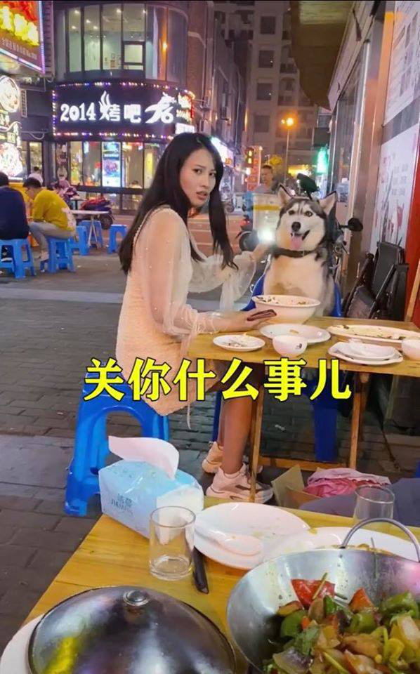 Đùa nghịch với chó lạ, cô gái phớt lờ cảnh báo của người chủ và cái kết ê chề giữa quán - Ảnh 2. Đùa nghịch với chó lạ, cô gái phớt lờ cảnh báo của người chủ và cái kết ê chề giữa quán - Ảnh 2.