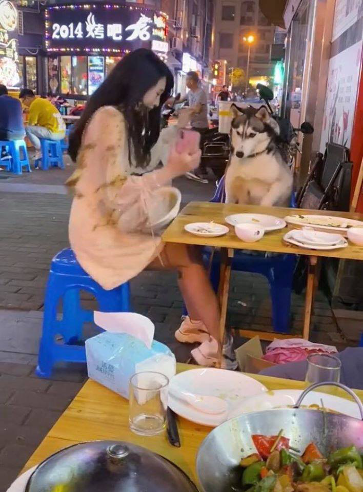 Đùa nghịch với chó lạ, cô gái phớt lờ cảnh báo của người chủ và cái kết ê chề giữa quán - Ảnh 5. Đùa nghịch với chó lạ, cô gái phớt lờ cảnh báo của người chủ và cái kết ê chề giữa quán - Ảnh 5.