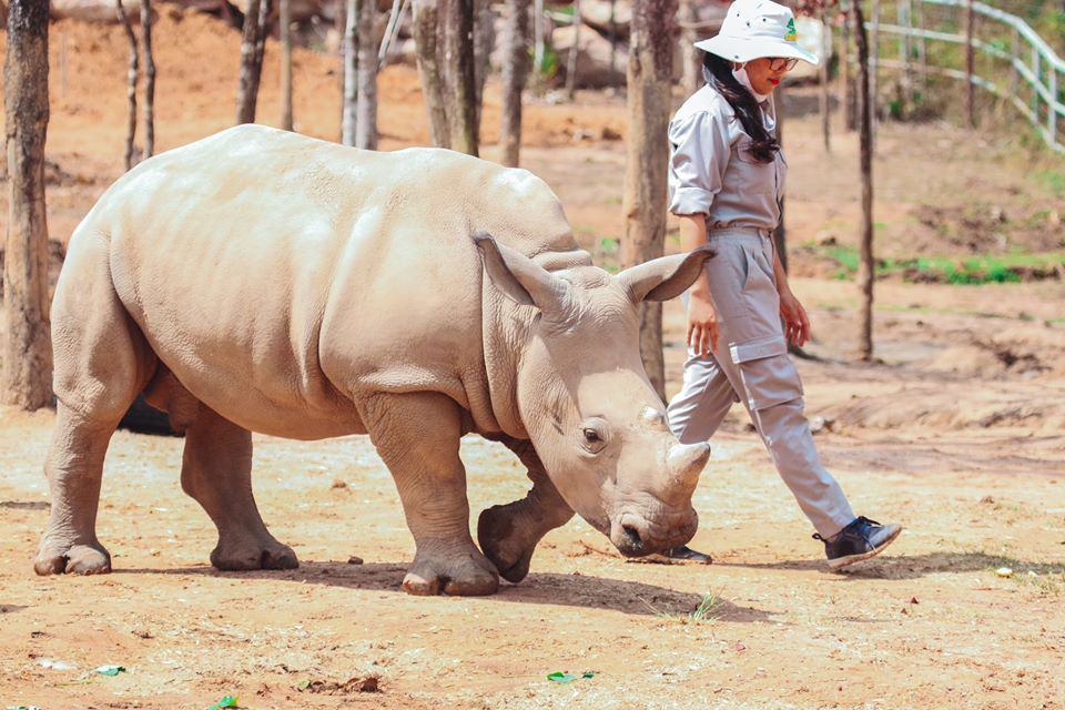 3 vườn thú safari ở Việt Nam: Tận mắt chiêm ngưỡng thế giới hoang dã với giá cực phải chăng, phù hợp với các gia đình có con nhỏ  - Ảnh 10.