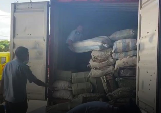 Phát hiện khoảng 100 tấn dược liệu nhập từ Trung Quốc “đội lốt” hàng nông sản   - Ảnh 1.