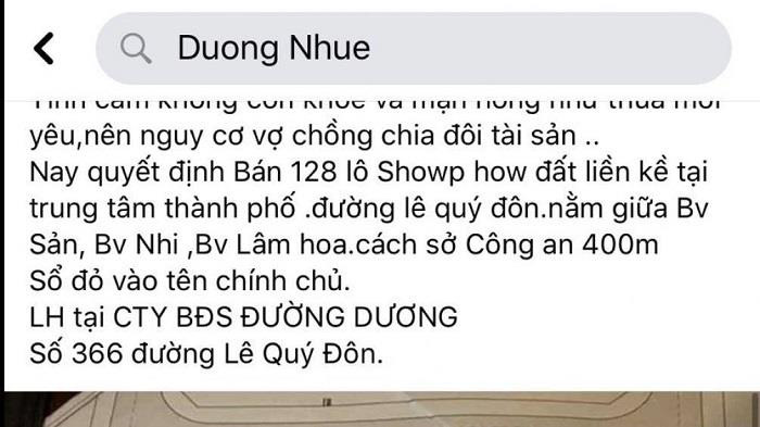 Thái Bình hủy kết quả đấu giá khu đất vàng từng được đại gia Đường Nhuệ từng rao bán - Ảnh 1.