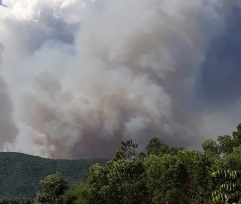 Nghệ An: Hàng nghìn người đang căng mình chữa cháy rừng suốt 14 giờ đồng hồ - Ảnh 6.
