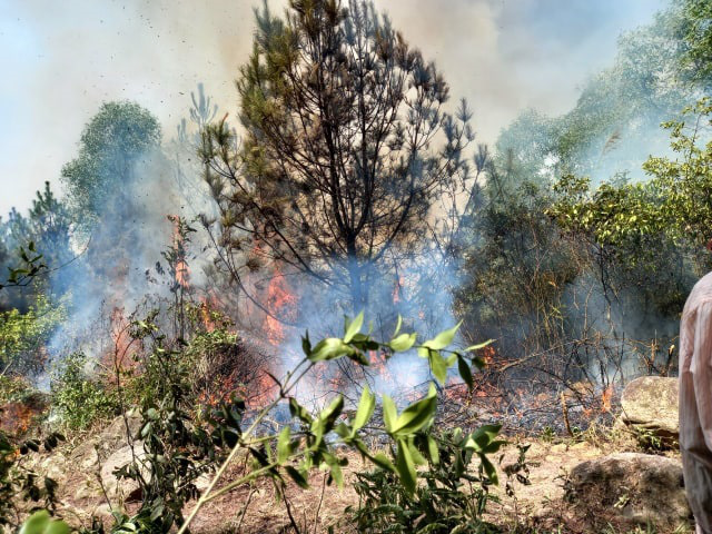 Nghệ An: Hàng nghìn người đang căng mình chữa cháy rừng suốt 14 giờ đồng hồ - Ảnh 4.