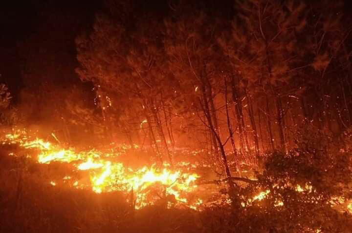 Cả nghìn người dập lửa đám cháy rừng lan qua nhiều xã ở Nghệ An - Ảnh 4.