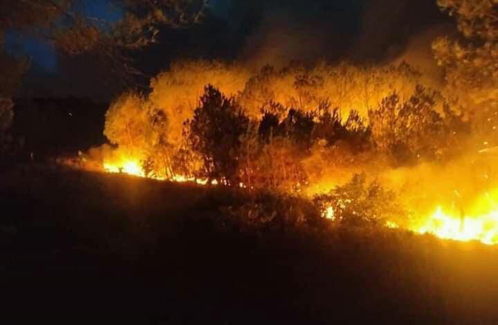 Cả nghìn người dập lửa đám cháy rừng lan qua nhiều xã ở Nghệ An - Ảnh 6.