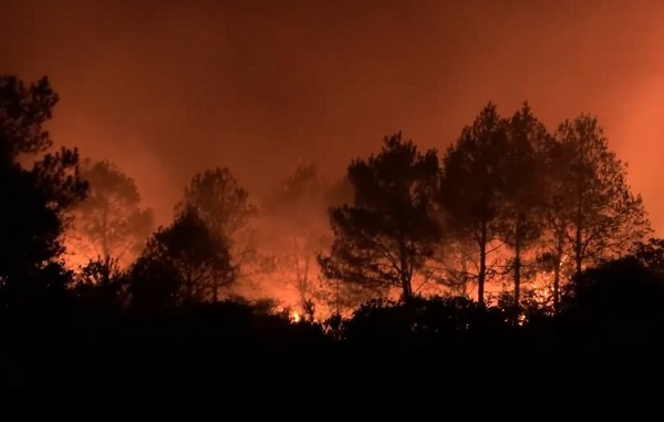 Nghệ An: Hàng nghìn người đang căng mình chữa cháy rừng suốt 14 giờ đồng hồ - Ảnh 1.