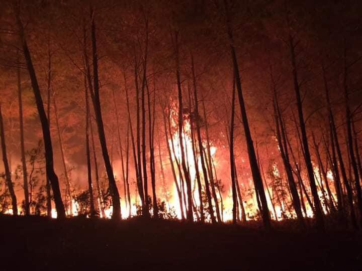 Cả nghìn người dập lửa đám cháy rừng lan qua nhiều xã ở Nghệ An - Ảnh 5.