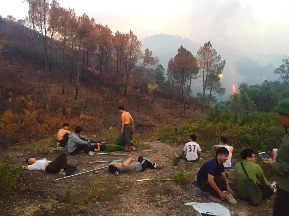 Cảnh hoang tàn ở cánh rừng thông già sau nhiều đợt cháy hoành hành những ngày qua - Ảnh 2.