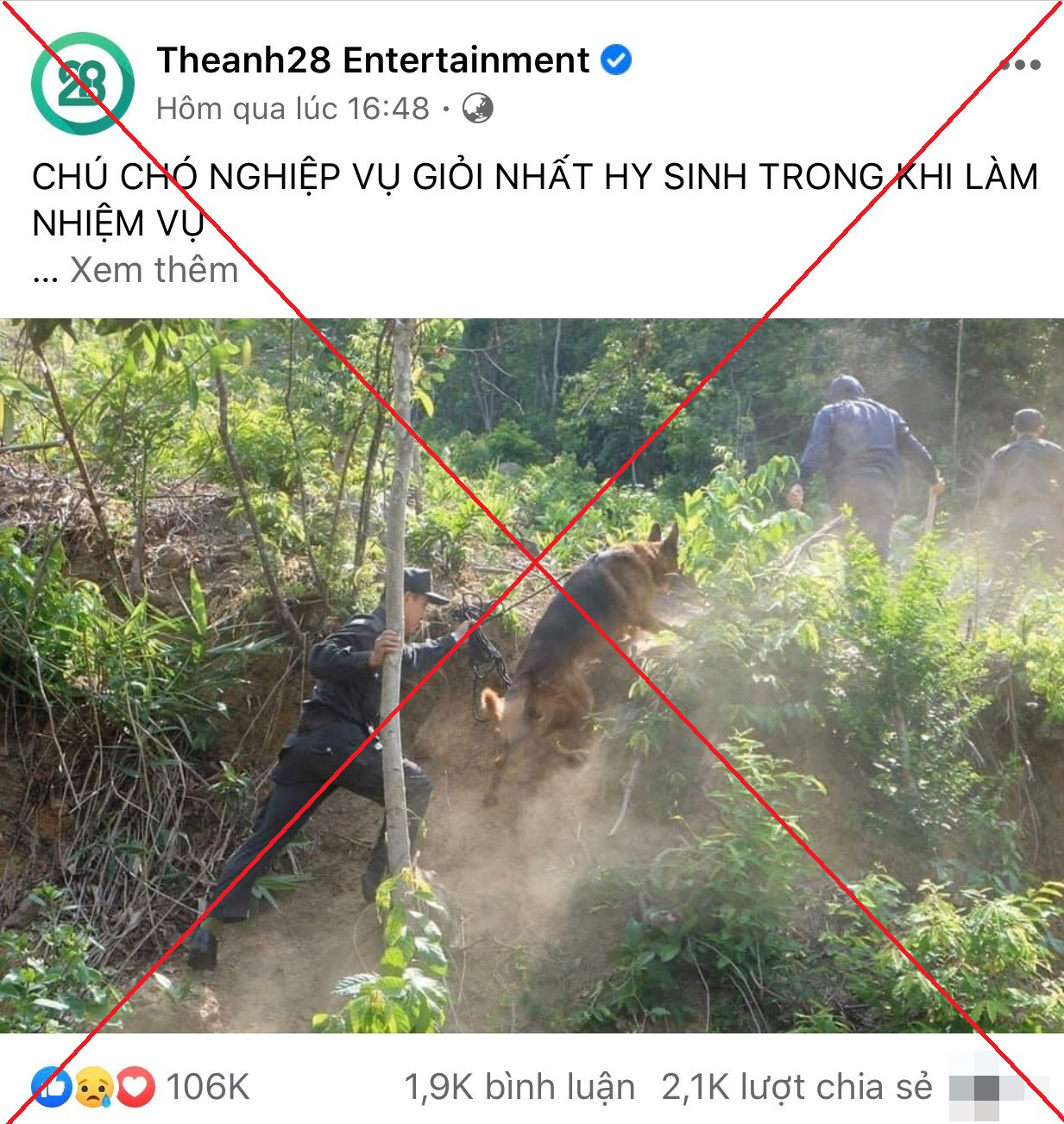 Thông tin chó nghiệp vụ hy sinh khi truy tìm tội phạm nguy hiểm vượt ngục là không chính xác - Ảnh 4. Thông tin chó nghiệp vụ hy sinh khi truy tìm tội phạm nguy hiểm vượt ngục là không chính xác - Ảnh 4.