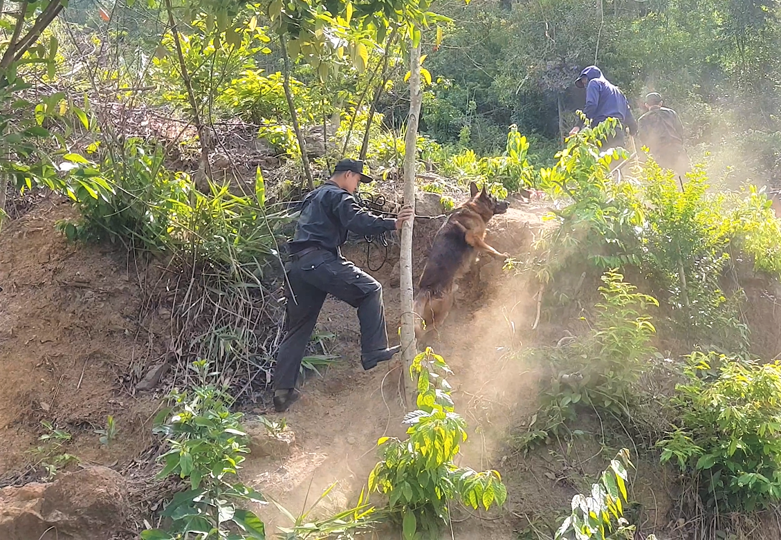 Thông tin chó nghiệp vụ hy sinh khi truy tìm tội phạm nguy hiểm vượt ngục là không chính xác - Ảnh 7. Thông tin chó nghiệp vụ hy sinh khi truy tìm tội phạm nguy hiểm vượt ngục là không chính xác - Ảnh 7.