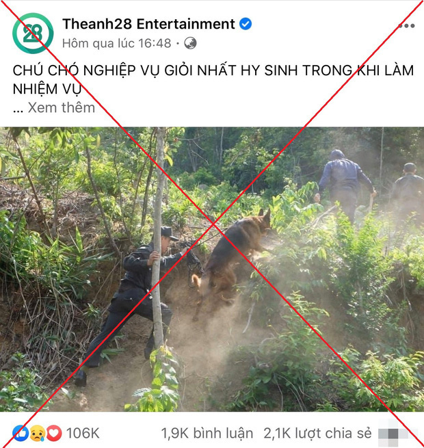 Sự thật thông nhà cái uy tín cảnh khuyển hy sinh khi truy tìm Triệu Quân Sự - Ảnh 1. Sự thật thông nhà cái uy tín cảnh khuyển nhà cái uy tín tìm Triệu Quân Sự - Ảnh 1.