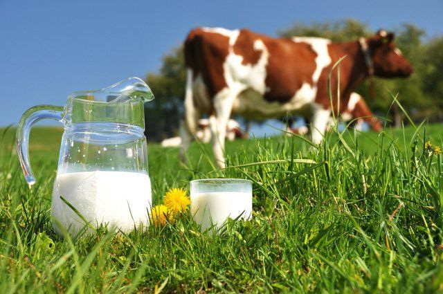 CDC cảnh báo: 8 sự thật cần biết ngay về sữa tươi không được tiệt trùng - Ảnh 2.