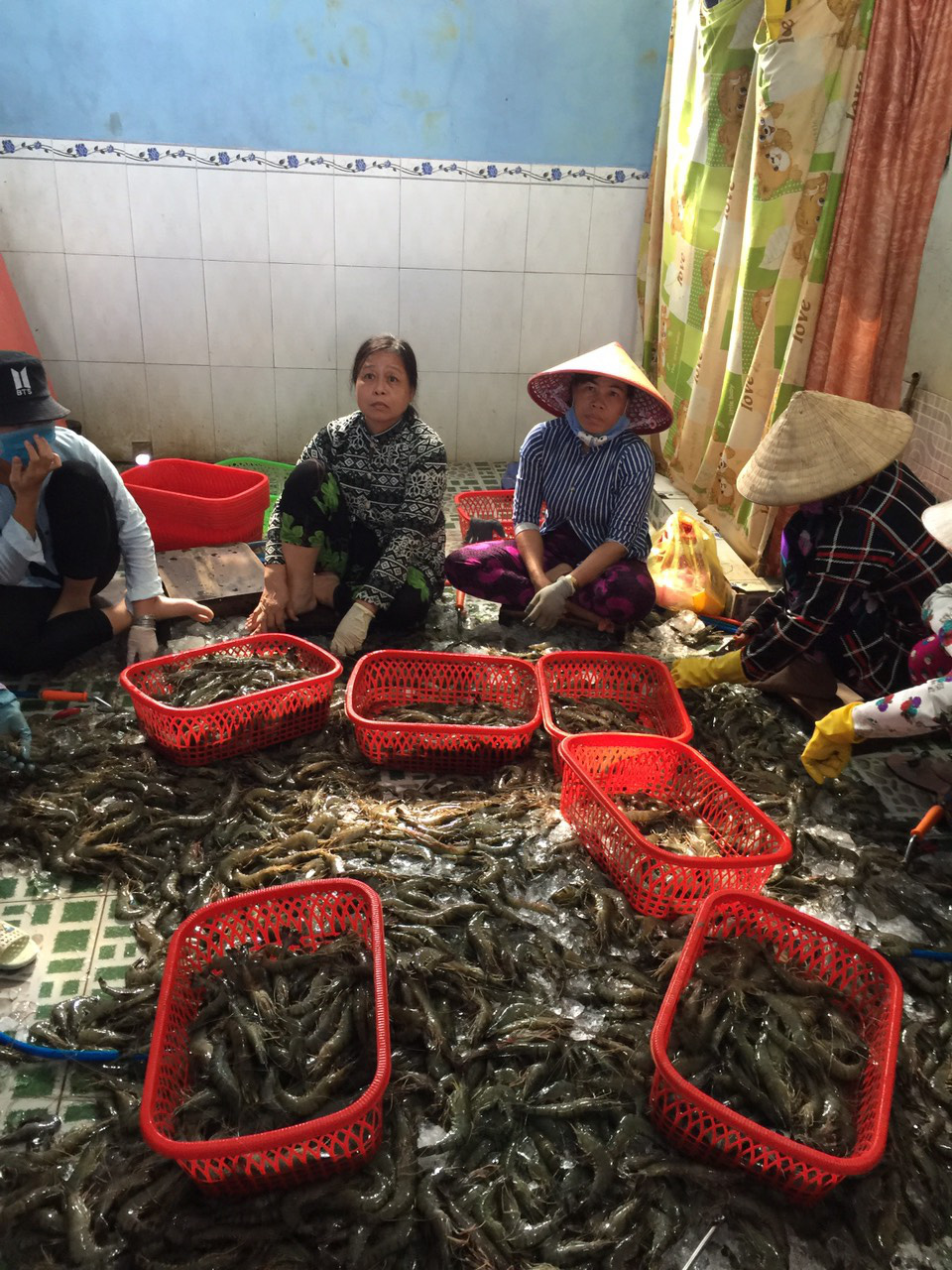 Bắt quả tang cơ sở đang đưa tạp chất vào tôm nguyên liệu tại Kiên Giang - Ảnh 1. Bắt quả tang cơ sở đang đưa tạp chất vào tôm nguyên liệu tại Kiên Giang - Ảnh 1.