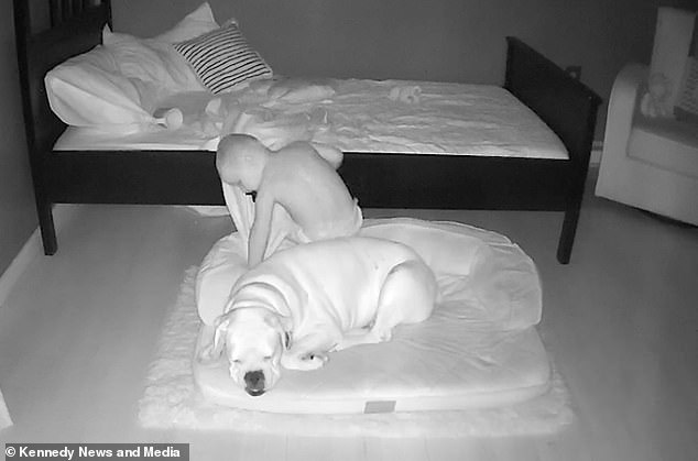 Sáng nào cũng thấy con nằm ngủ ở chỗ &quot;bạn thân&quot; thay vì trên giường, bà mẹ bí mật lắp camera và &quot;ngã ngửa&quot; khi biết sự thật - Ảnh 2.