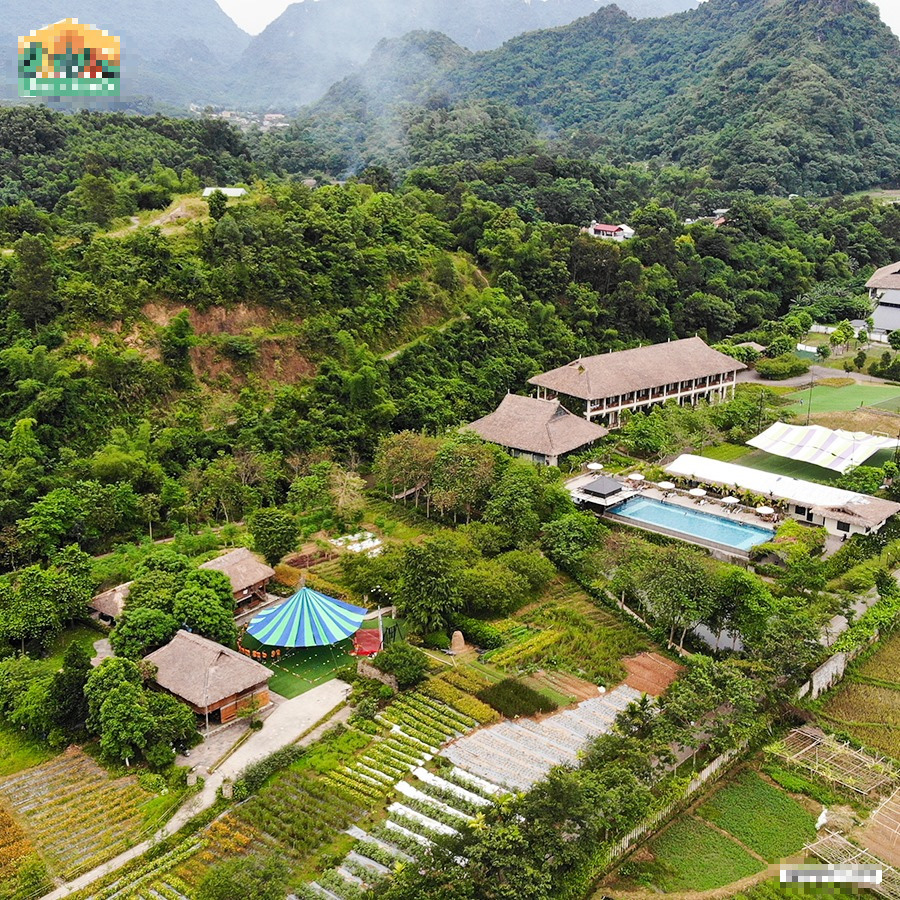 Xu hướng trại hè năm nay: Vừa học vừa kết hợp du lịch, cho con làm bài tập ngay trong resort 4 sao sang chảnh - Ảnh 1.