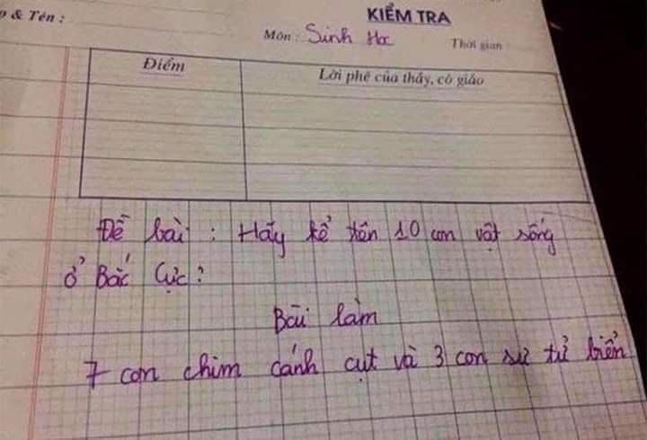 Cô giáo hỏi &quot;kể tên 10 con vật sống ở Bắc Cực&quot;, học sinh trả lời khiến ai cũng phải ôm ruột cười bể bụng - Ảnh 1.