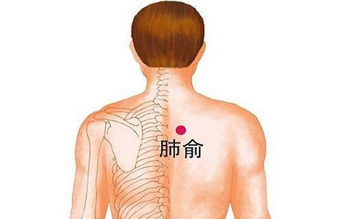Người có 3 bộ phận này càng sạch thì càng sống thọ: Nếu bạn chưa có thì nên phấn đấu - Ảnh 3. Người có 3 bộ phận này càng sạch thì càng sống thọ: Nếu bạn chưa có thì nên phấn đấu - Ảnh 3.