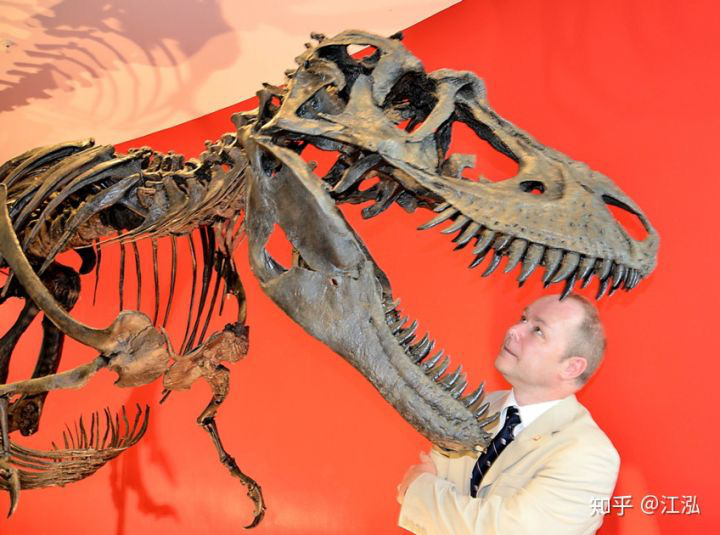 Phát hiện ra xác ướp khủng long có dấu chân hình móng ngựa tại Hoa Kỳ - Ảnh 3.