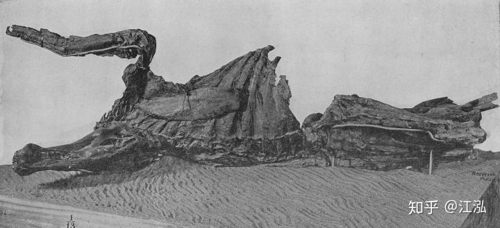Phát hiện ra xác ướp khủng long có dấu chân hình móng ngựa tại Hoa Kỳ - Ảnh 1.