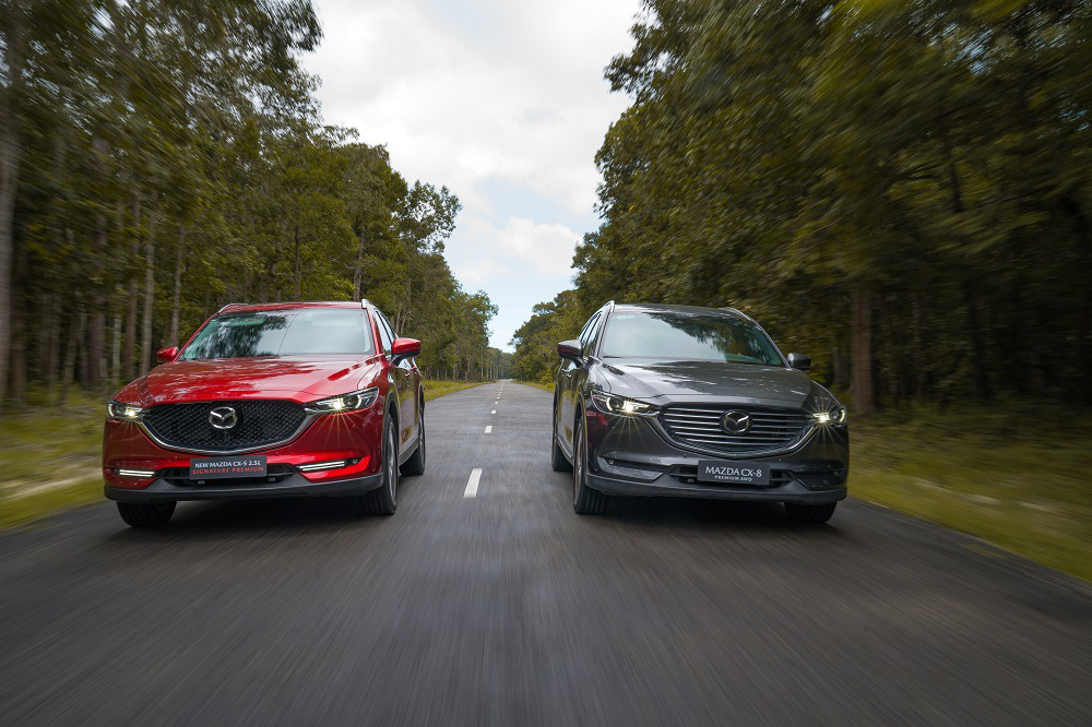 Lựa chọn SUV 2.5L tầm giá 900 triệu - Ảnh 3.