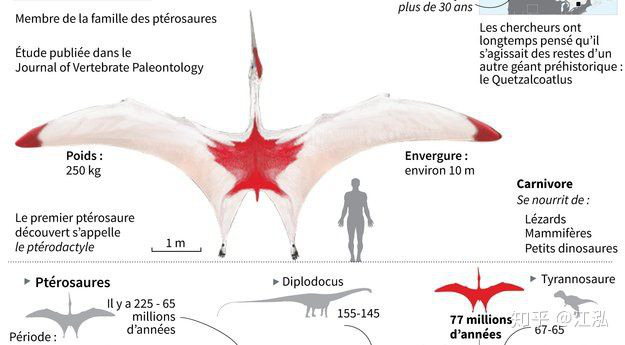 Canada phát hiện ra loài khủng long bay mới, có kích thước tương đương một chiếc máy bay nhỏ - Ảnh 7.