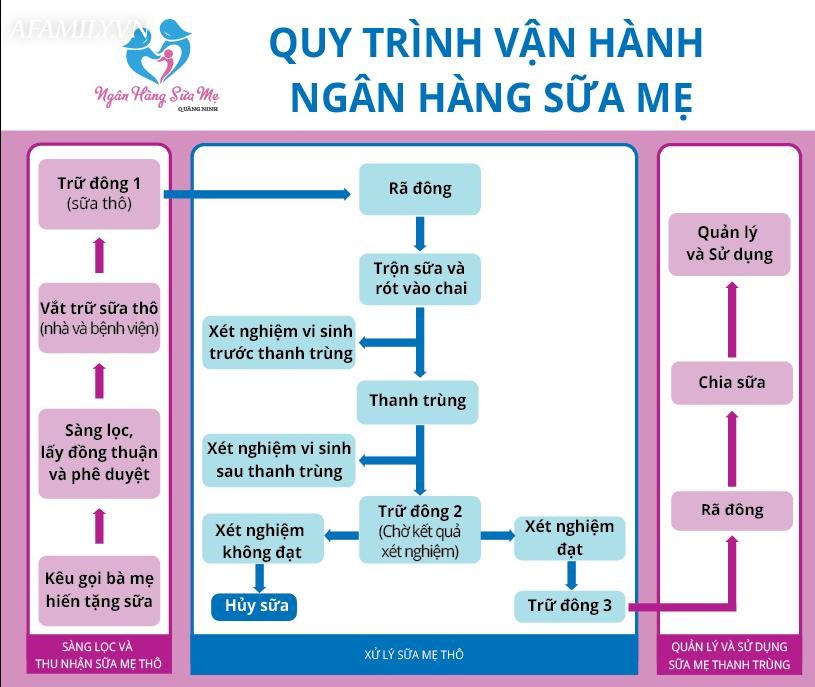 Thăm ngân hàng sữa mẹ đầu tiên tại bệnh viện ở miền Bắc - Ảnh 10.