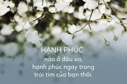 Sống đơn giản là một lựa chọn thông minh: Cuộc sống có được có mất, ham muốn càng nhiều hạnh phúc càng ít đi  - Ảnh 3.