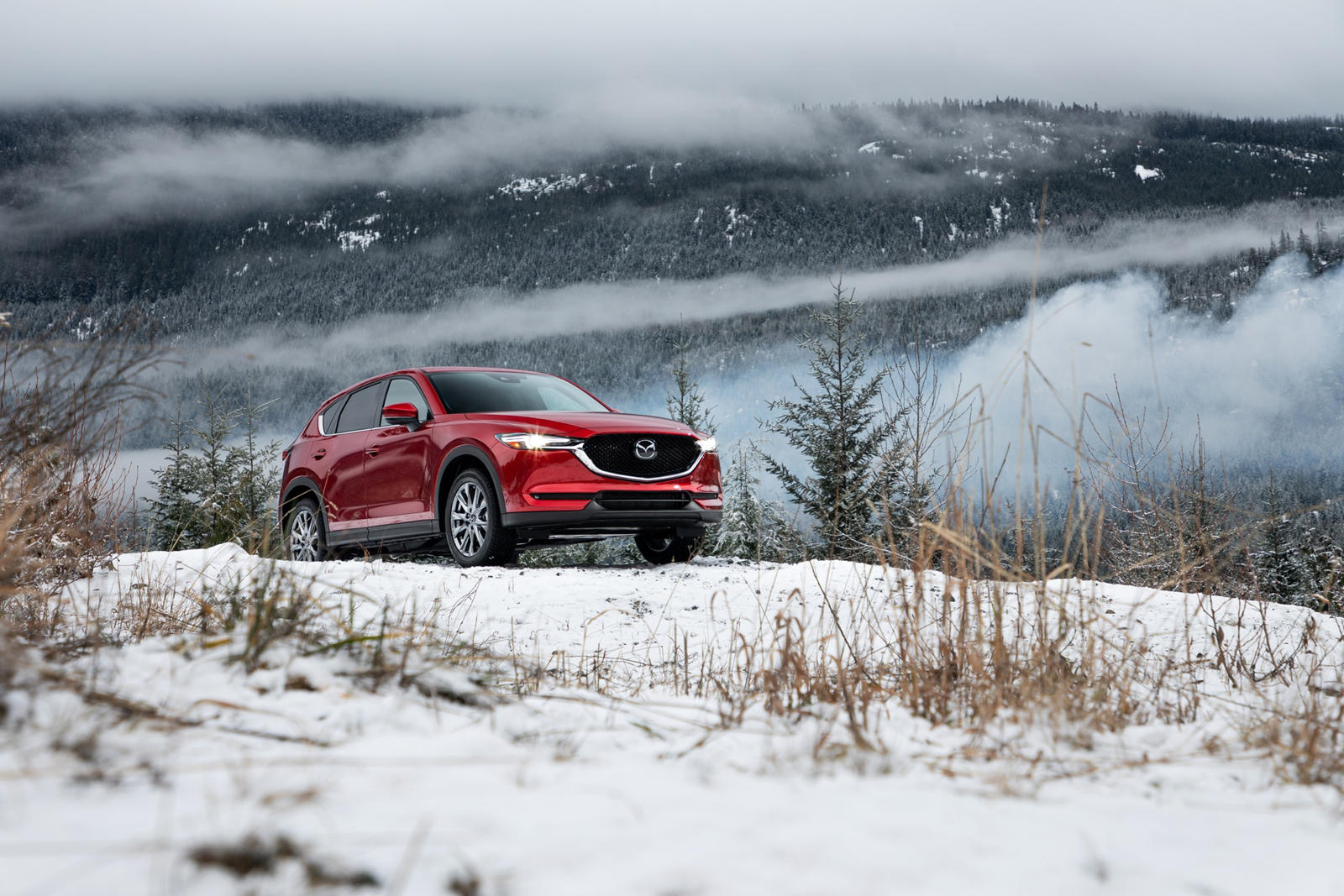 Mazda CX-5 sẽ được thay thế bằng Mazda CX-50 dùng dẫn động cầu sau - Ảnh 1. Mazda CX-5 sẽ được thay thế bằng Mazda CX-50 dùng dẫn động cầu sau - Ảnh 1.