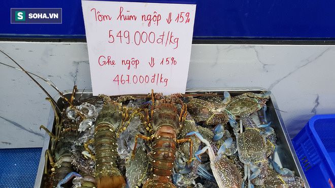 Vừa nhích giá không lâu, hàng hải sản lại giảm giá loại cua biển ngon nhất nhì miền Tây  - Ảnh 4.