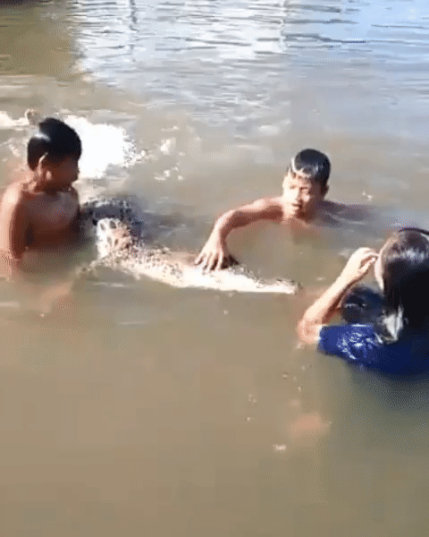 Nhóm trẻ em bơi lội, chơi đùa cùng cá sấu dưới nước trong lúc ông bố vẫn thản nhiên quay phim lại khiến nhiều người rùng mình - Ảnh 1.