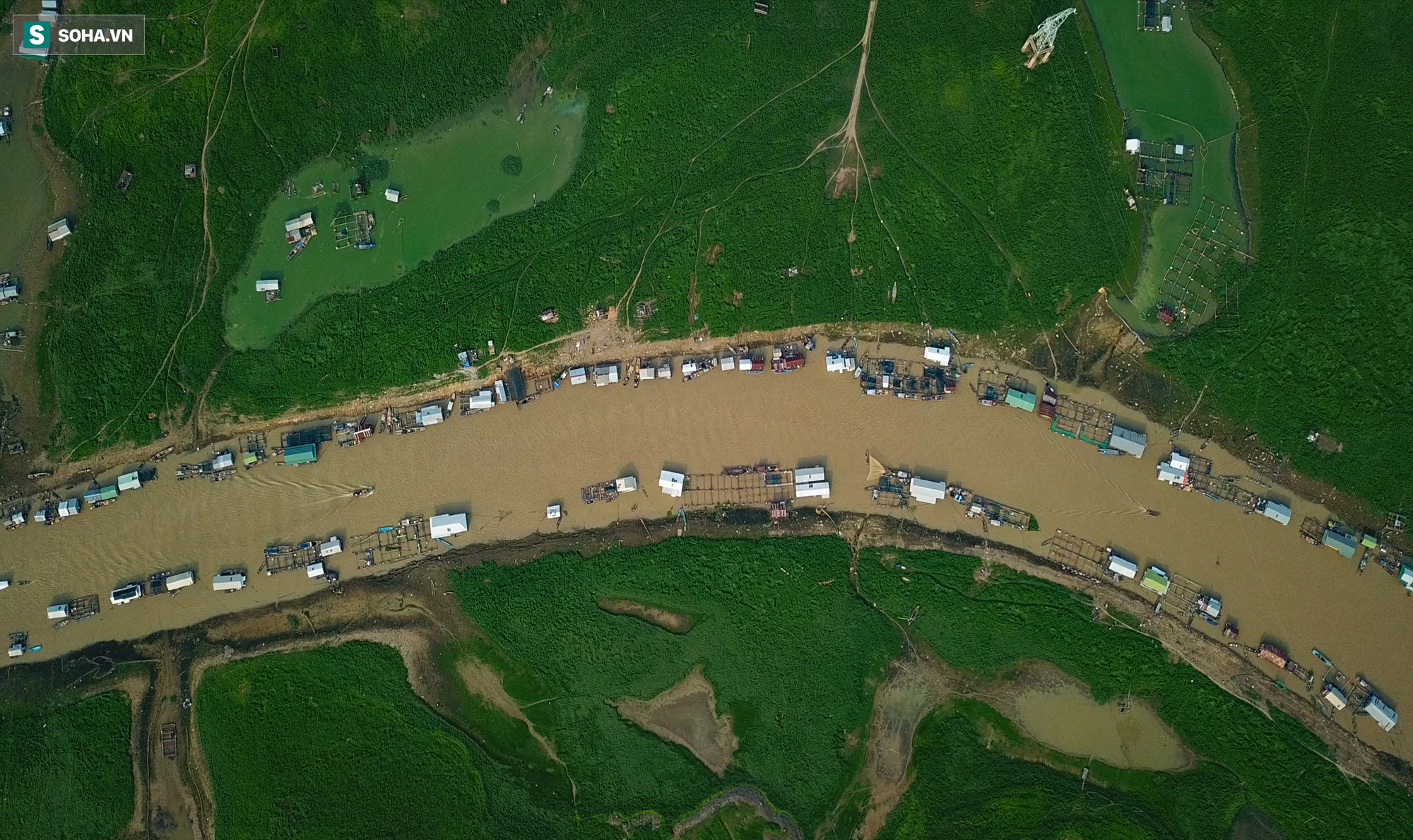 [ẢNH] 200 nhà bè mắc cạn giữa thảm cỏ xanh mướt ở lòng hồ Trị An - Ảnh 9.