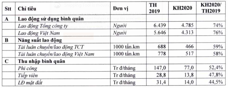 Phi công, tiếp viên Vietnam Airlines bị giảm 50% thu nhập bình quân 2020 - Ảnh 1.