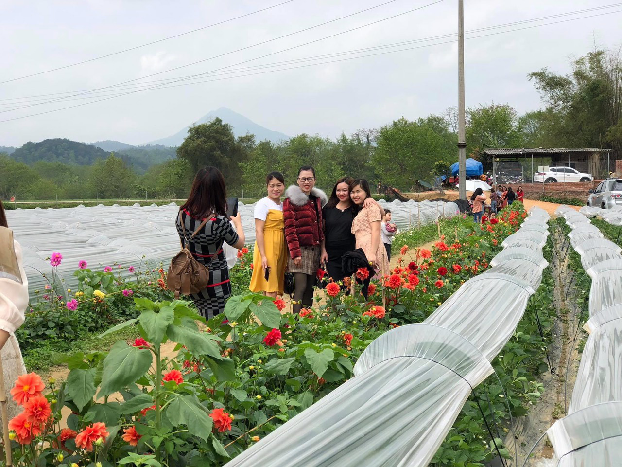 Người con của Cao Bằng đưa dâu tây Cao Bằng lên một tầm mới bằng gia đình, kiên trì và nông nghiệp thông minh - Ảnh 4.