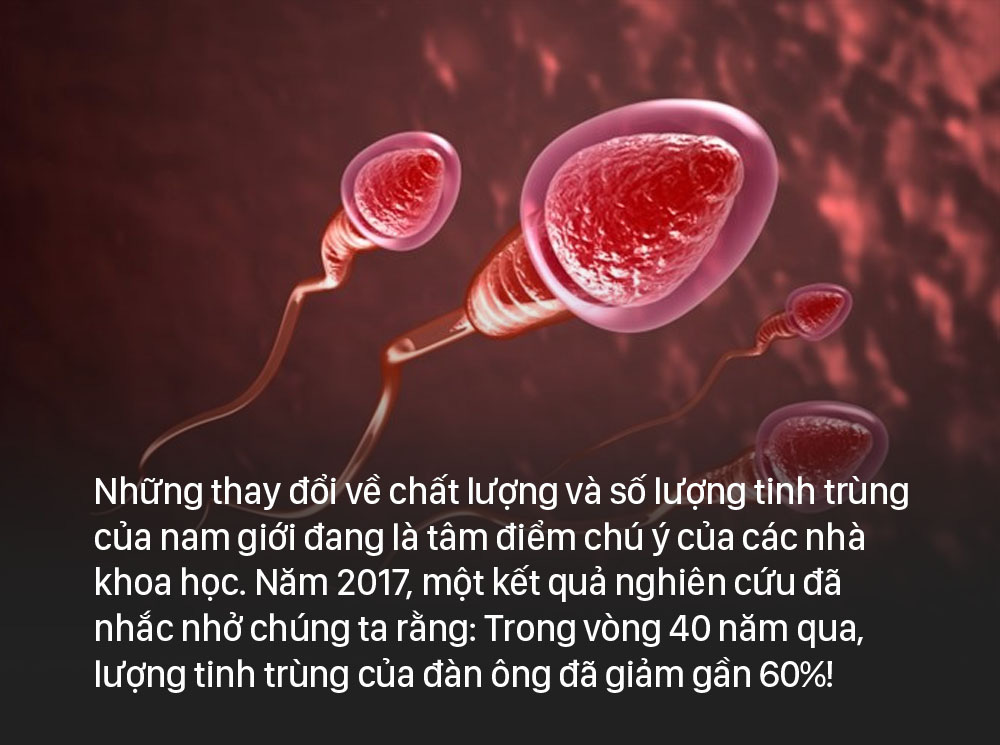 Nam giới thường xuyên làm việc này vào ban đêm thì chất lượng tinh trùng kém đi trông thấy, không thay đổi ngay thì có thể dẫn đến vô sinh - Ảnh 4.