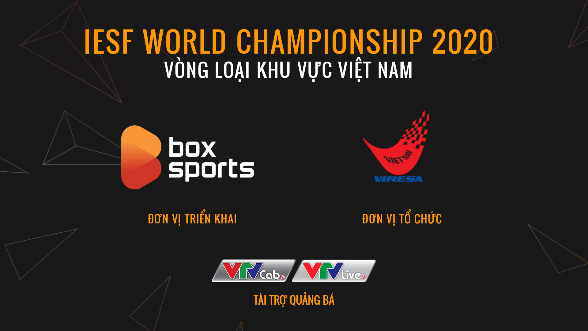 Lộ diện những gương mặt xuất sắc nhất Việt Nam dự giải vô địch thế giới Esports vào tháng 10 này - Ảnh 5.