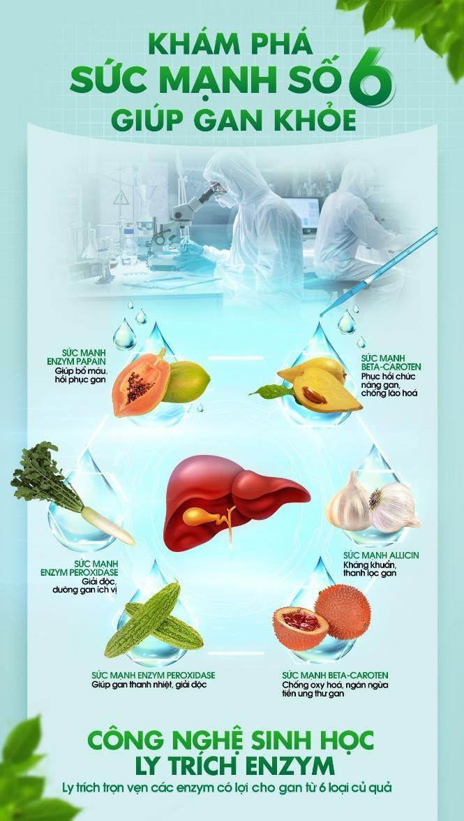 Công nghệ sinh học trong giải độc gan - Lựa chọn hiệu quả để bảo vệ sức khỏe toàn diện - Ảnh 2.