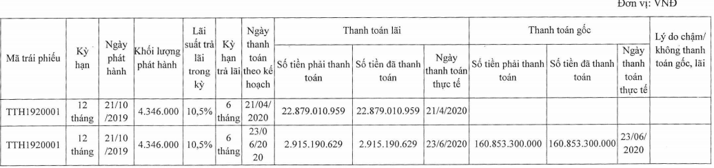 Nghịch lý ông lớn Trường Thịnh: Vốn 2.620 tỷ, kinh doanh từ BĐS nghỉ dưỡng đến năng lượng, BOT… song lãi nửa đầu năm vỏn vẹn 1,2 tỷ, tương đương ROE 0,05% - Ảnh 1.
