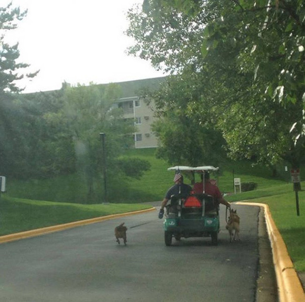 Những sáng kiến tiết kiệm công sức tối đa của hội không làm vẫn muốn có ăn - Ảnh 12.