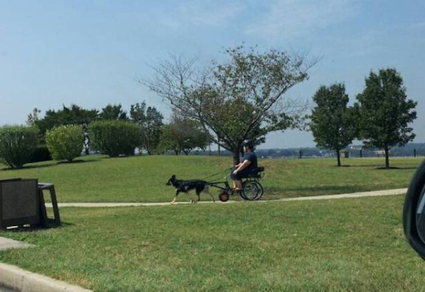 Những sáng kiến tiết kiệm công sức tối đa của hội không làm vẫn muốn có ăn - Ảnh 5.