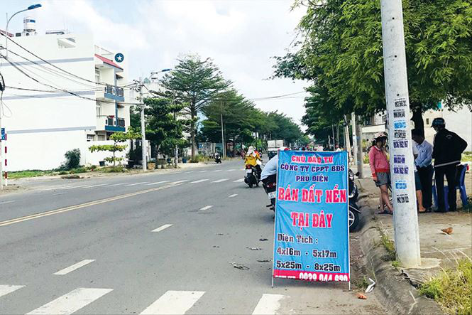 Những khu vực nào đang là “điểm nóng” hút dòng tiền đầu tư dịp cận Tết? - Ảnh 1.