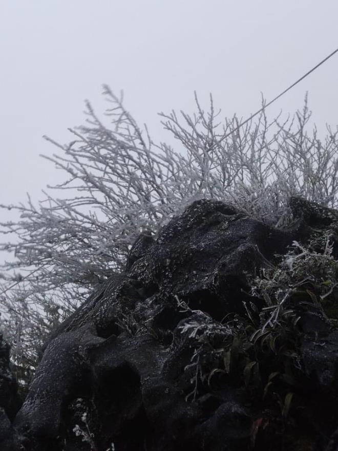 Khách du lịch thích thú chụp ảnh với băng giá phủ trắng đỉnh Phja Oắc và Mẫu Sơn - Ảnh 1.