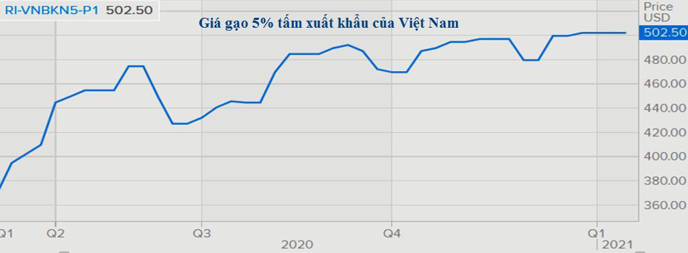 Sau năm 2020 “bùng nổ”, thị trường gạo thế giới sẽ ra sao trong năm 2021? - Ảnh 4.