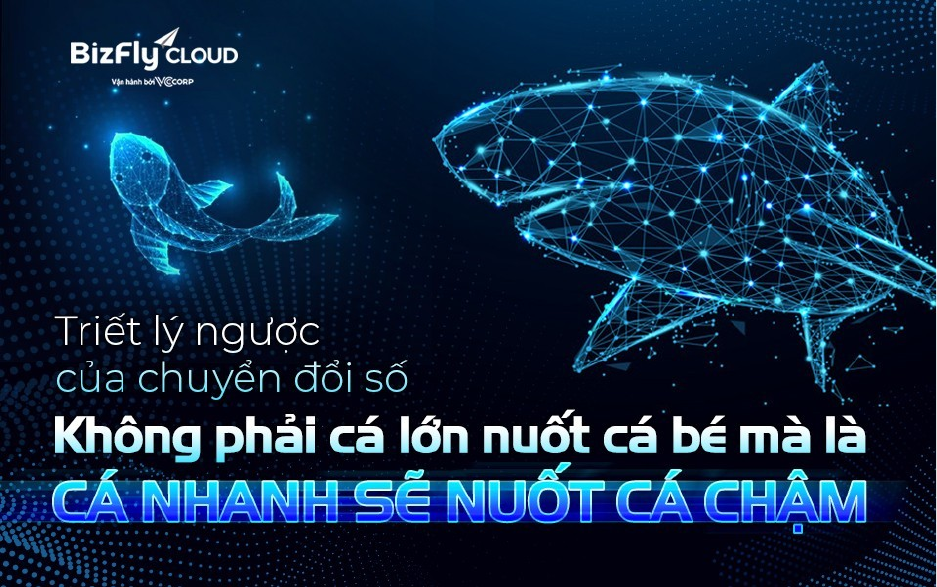 Triết lý ngược của chuyển đổi số: Không phải cá lớn nuốt cá bé mà là cá nhanh sẽ nuốt cá chậm - Ảnh 1.