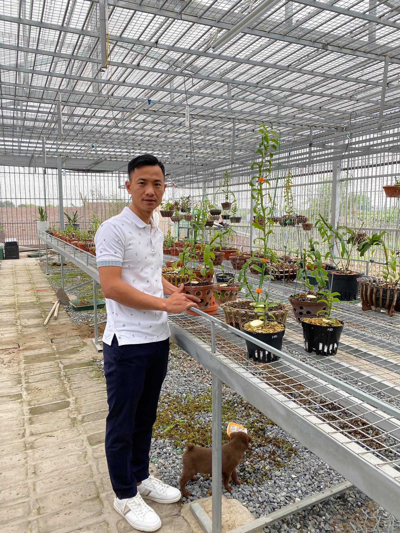 Ông chủ vườn lan Sỹ Trần: “Con nhà nòi” và hành trình gây dựng 2 vườn lan ở Thái Bình, Hải Dương - Ảnh 2.