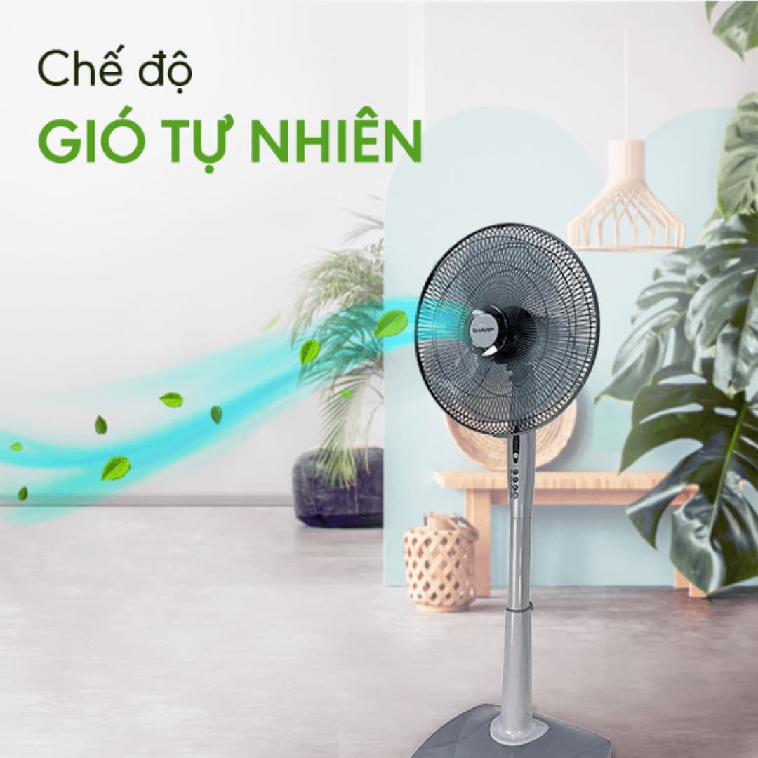 Cuối tháng lương về, lên Lazada săn sale các món đồ gia dụng từ Sharp, BlueStone đến Philips với mức giảm lên tới 50% - Ảnh 17.