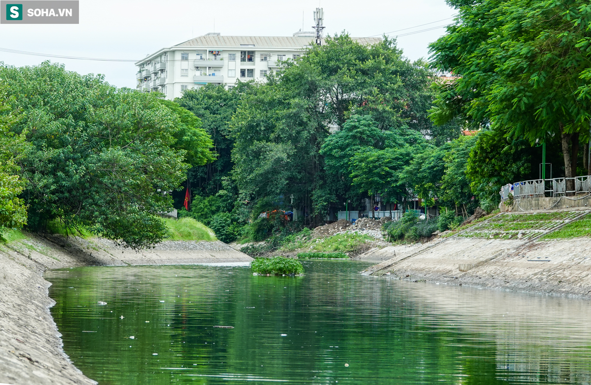 [ẢNH] Cận cảnh dòng nước xanh ngắt hiếm thấy tại sông Tô Lịch, cá bơi nhộn nhịp hàng đàn - Ảnh 1.